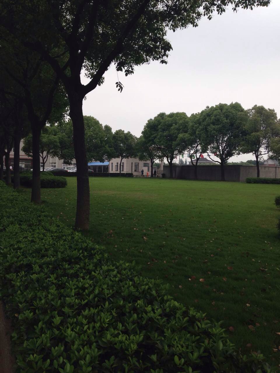 在抗失眠的战场上，我一路高歌凯旋而归！