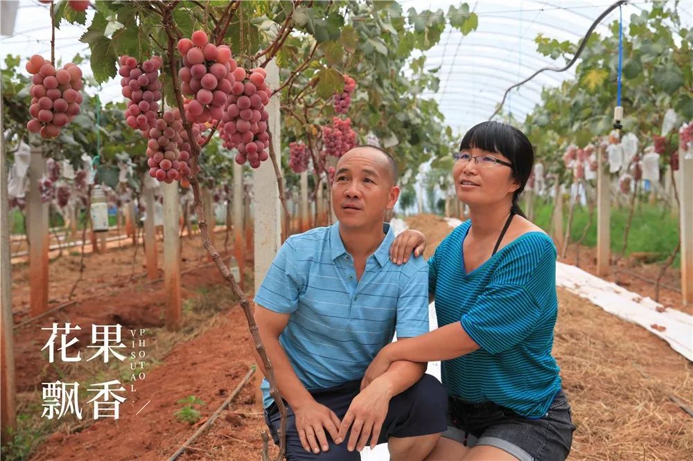 2020种什么水果最赚钱,2021种植什么水果最赚钱