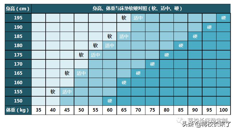 金可儿天梦之床床垫,金可儿天梦之床周年活动