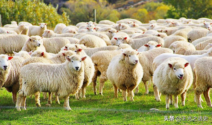 新西兰是地球最后的净土吗,新西兰十大未解之谜