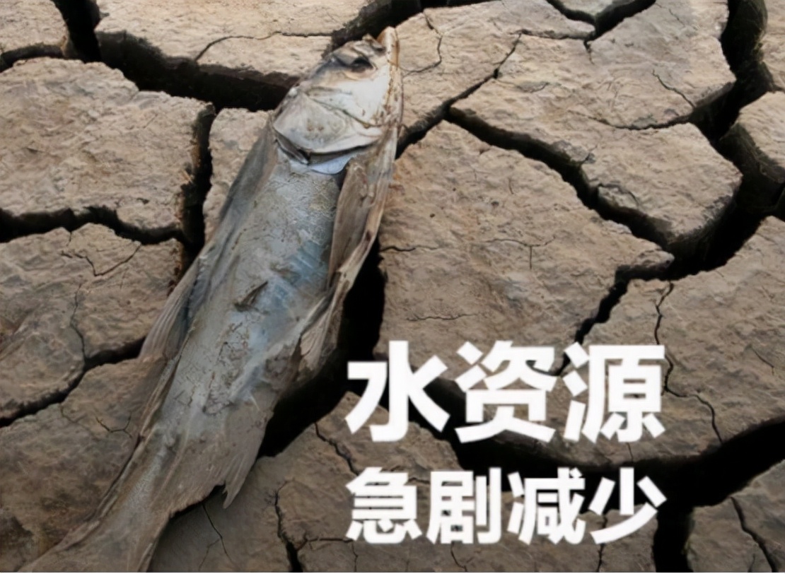 世界水资源短缺最新消息,2050年预计全球将有50亿人缺水