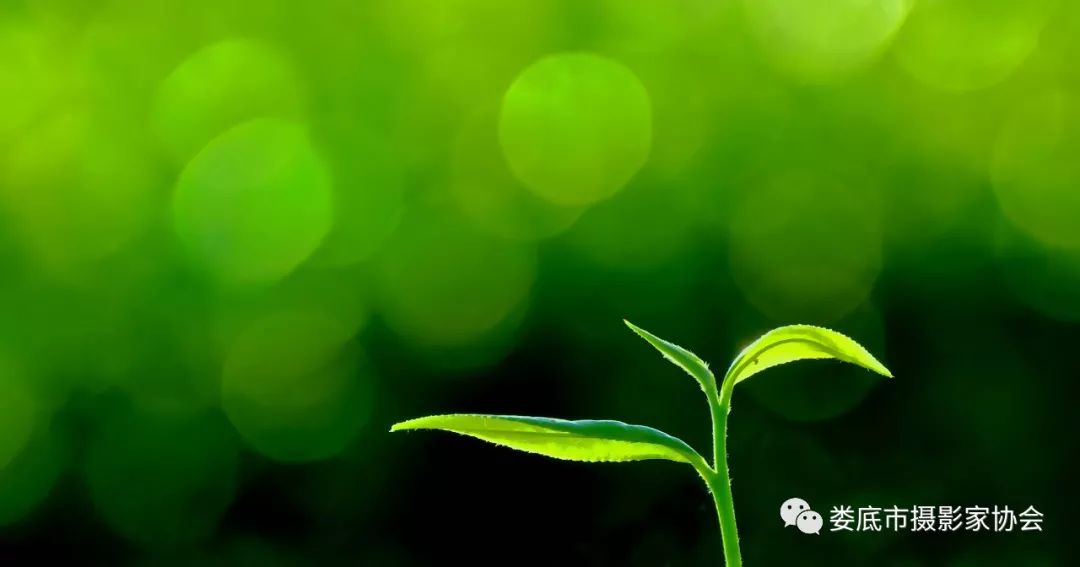 最新风景摄影小品欣赏,娄底景观小品