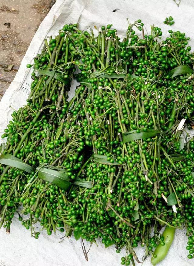 黑胡椒白胡椒香料介绍,山胡椒怎么分白胡椒和黑胡椒