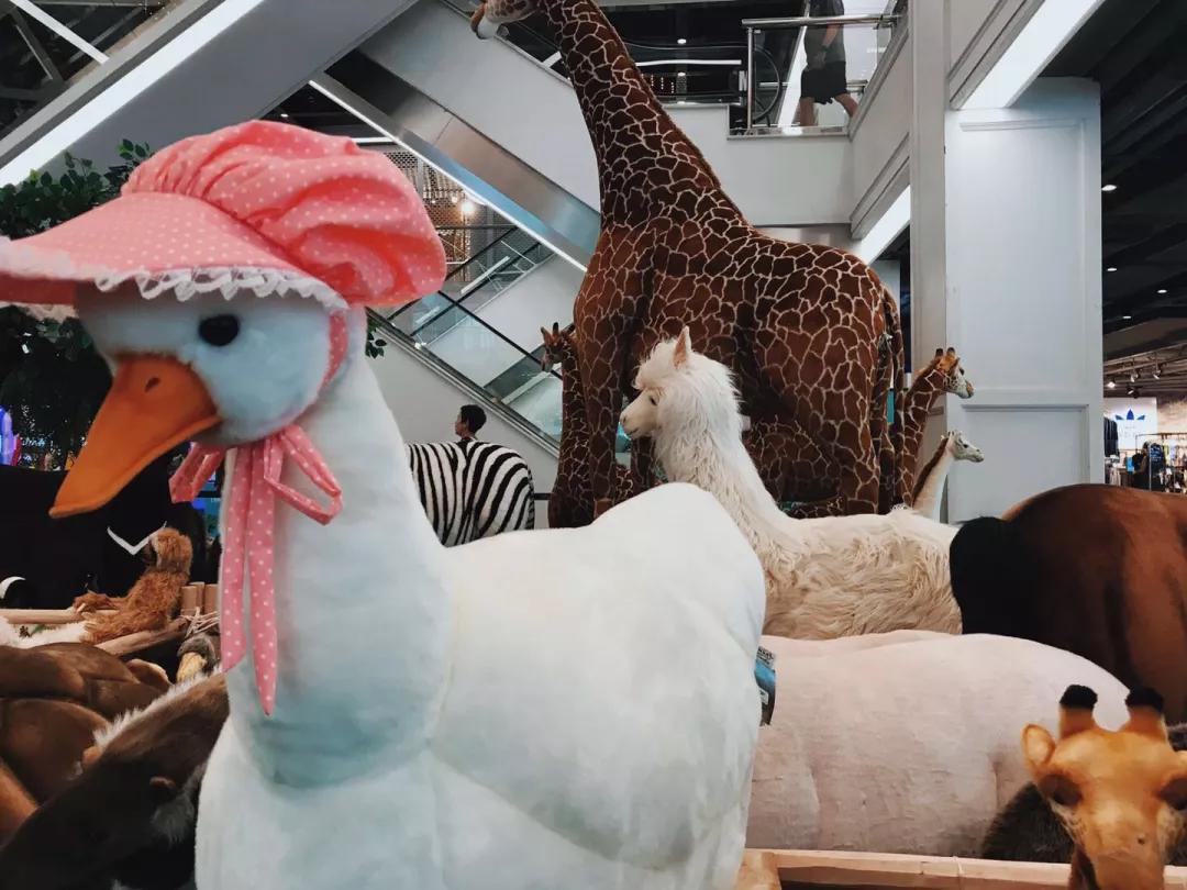 曼谷必买，清迈必玩，二刷泰国经验帖带你避坑