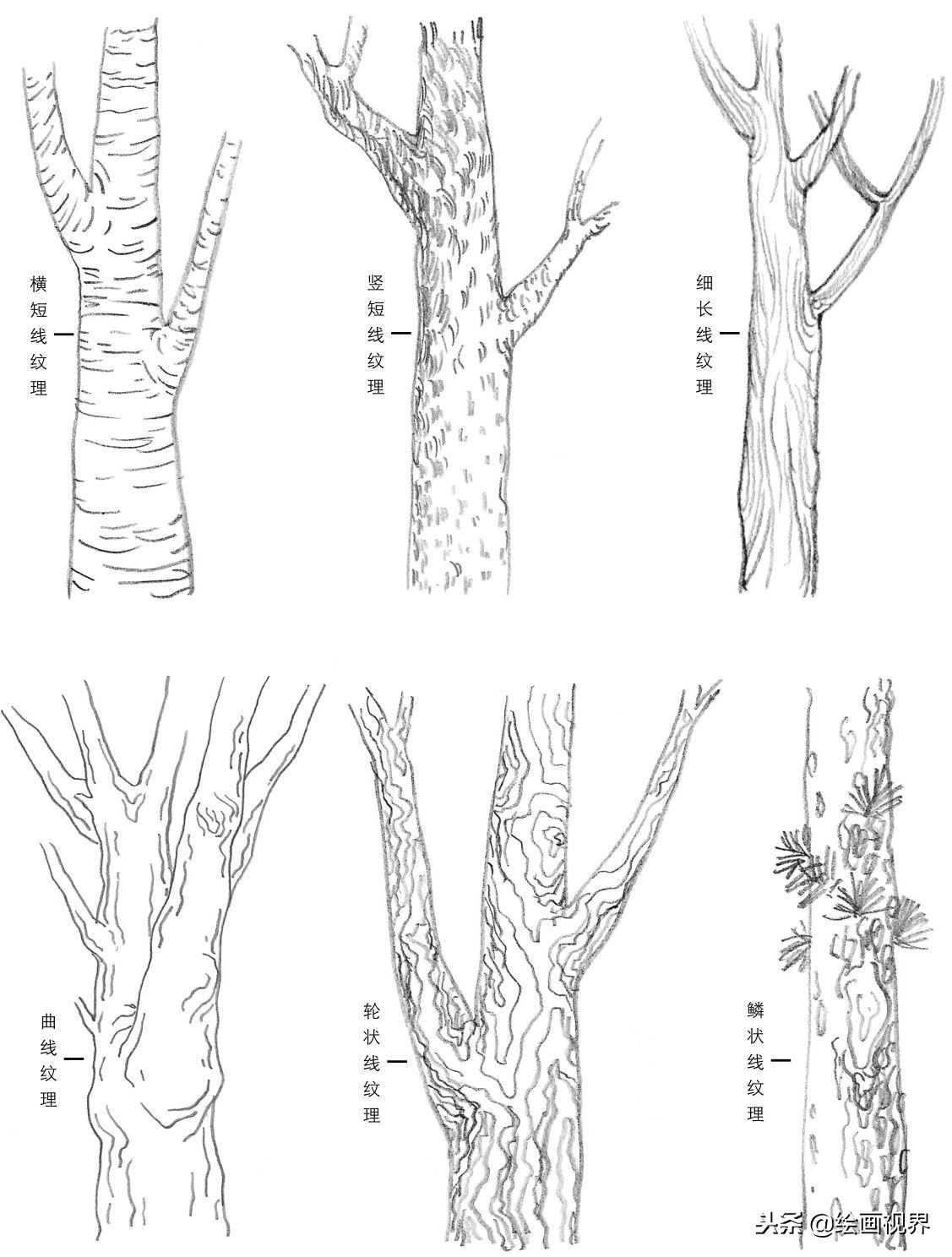 钢笔画入门教程花鸟,钢笔画入门基础教程人物