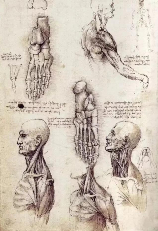 达芬奇绝无仅有的旷世奇才,奇人技能