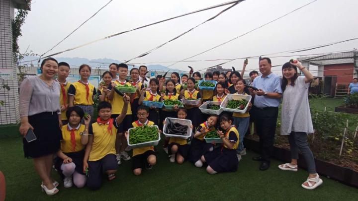 梨园春丰收节,梨树县首届农民丰收节