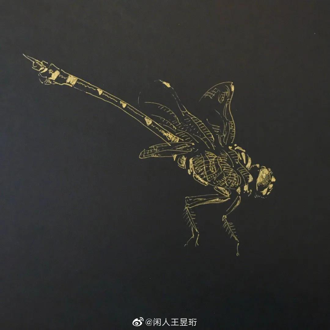 王昱珩不上班做到财富自由,最强大脑王昱珩清华毕业后不上班