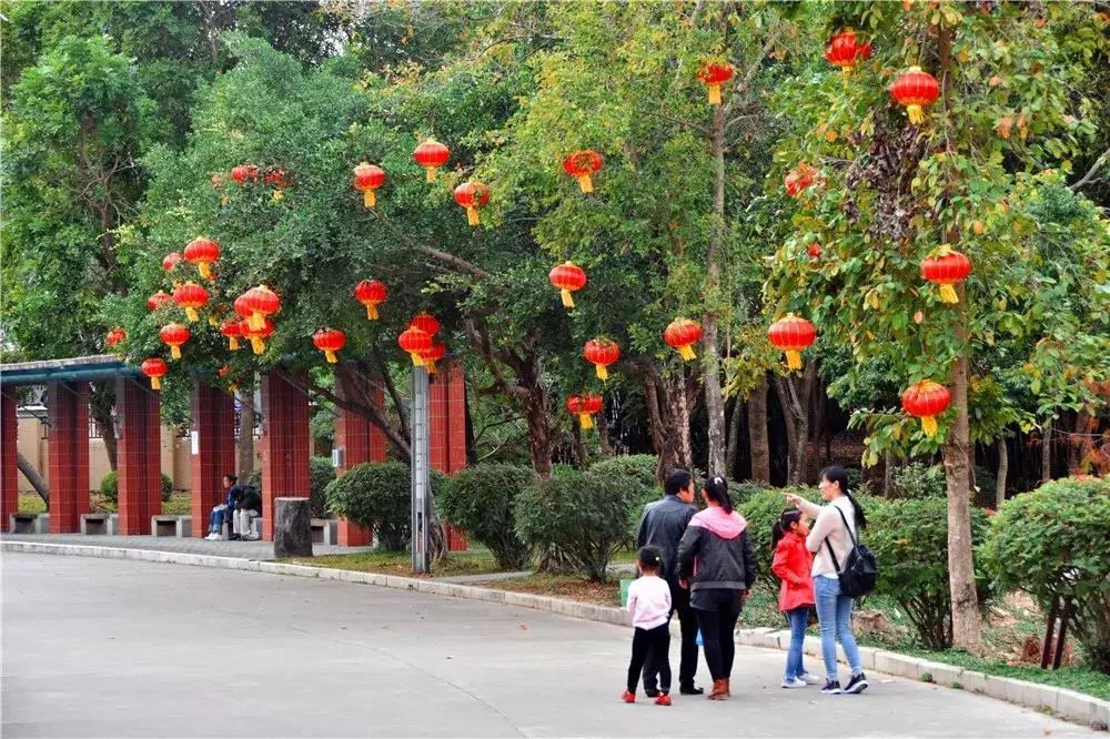 郑州春节周边景区免费景点大全,春节赏花的好去处