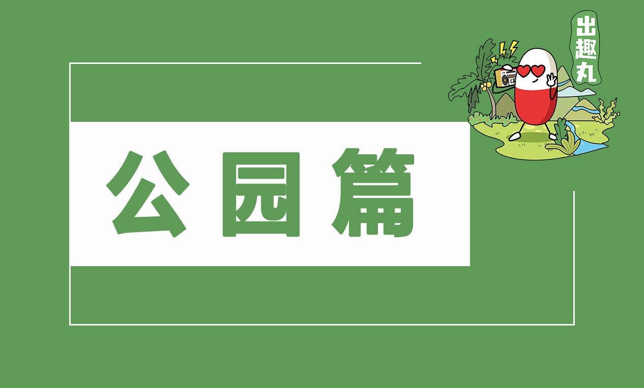 沧州旅游吴桥杂技,沧州非遗杂技表演