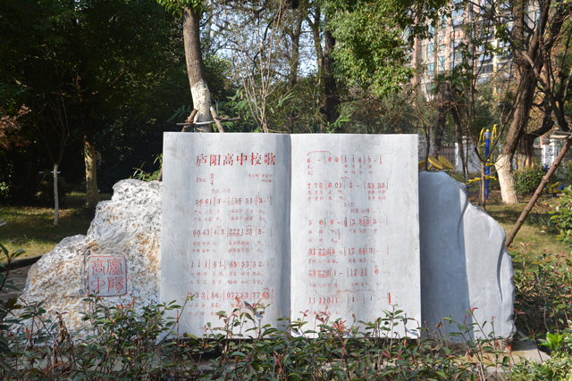 合肥有哪些省示范高中,合肥中考2020省示范高中