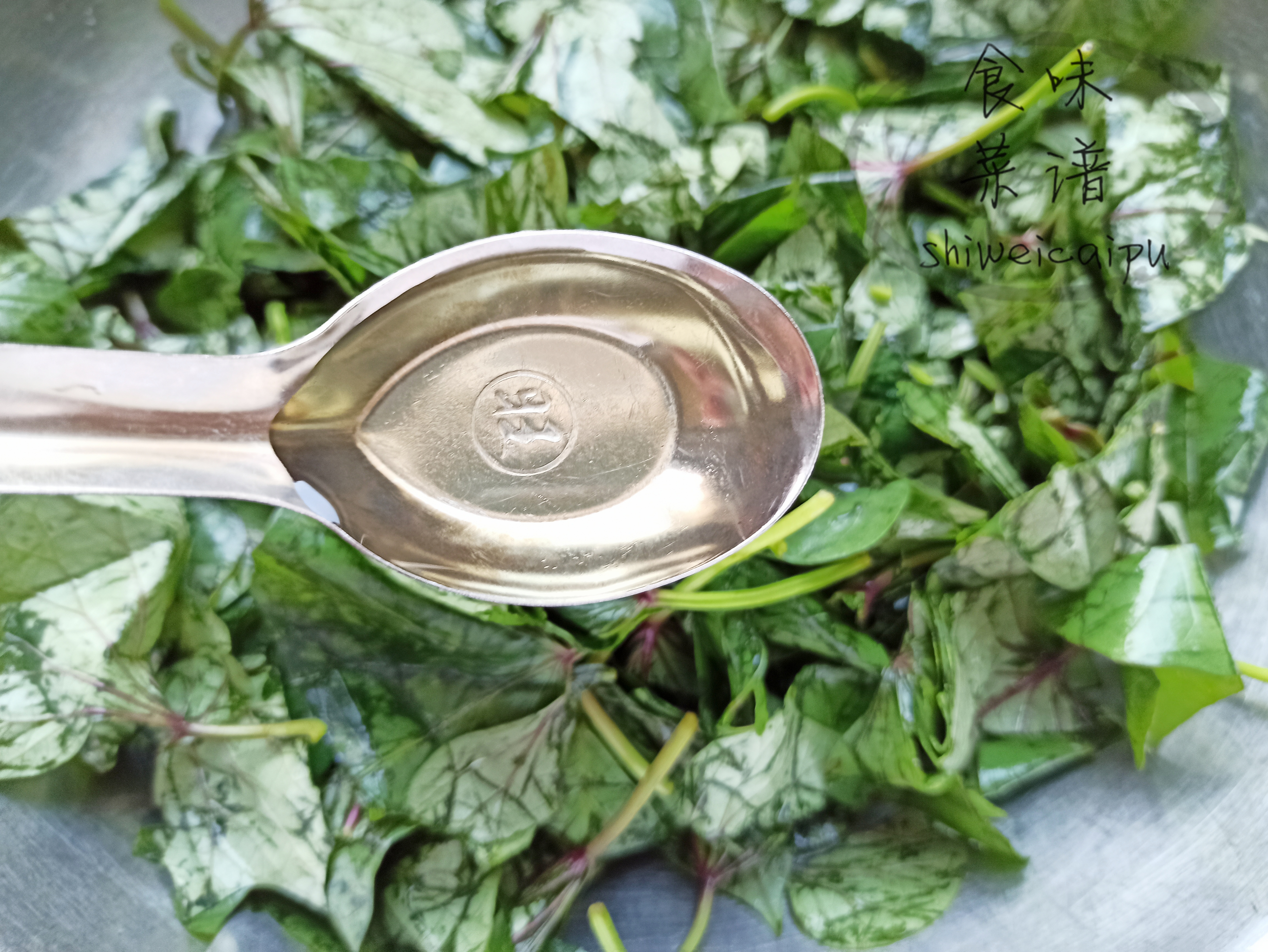 春天家常蒸菜100道不上火,春季有哪些蒸菜做法好吃