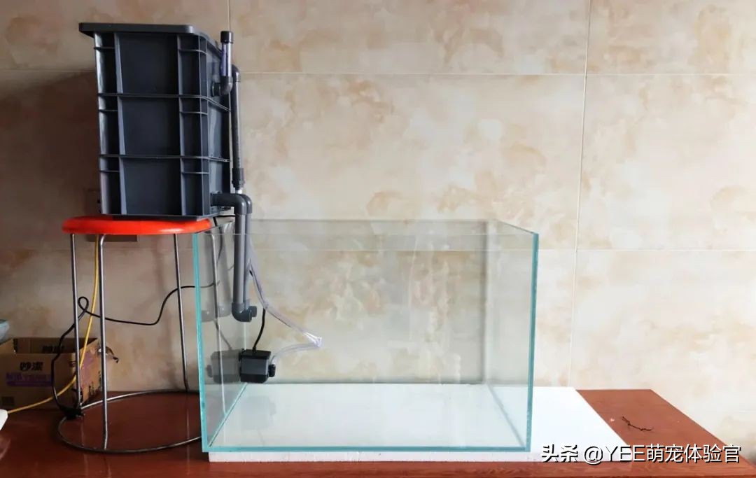 用亚克力板做鱼缸的缺点,亚克力鱼缸的优缺点