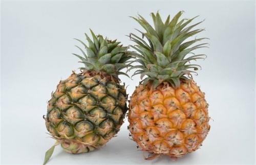菠萝另一种名称是不是叫做凤梨,菠萝的别名是叫凤梨吗