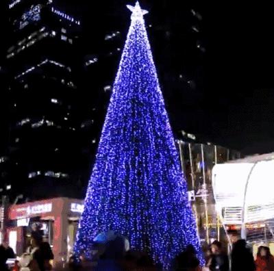 香港海滨长廊圣诞节,香港圣诞打卡地唯美视频