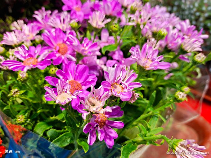 vivos6手机值得入手吗,vivos6靓丽外观年轻人5g手机