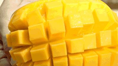 芒果吃饭攻略,芒果驾到