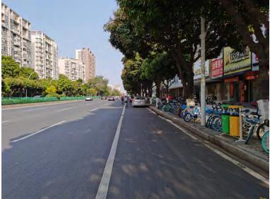 金砂东、大学路、潮汕路，汕头市区多条道路如何提升品质？