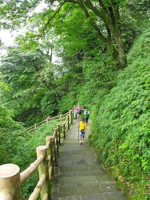 峨眉山防猴方法,峨眉山怎么防御猴子