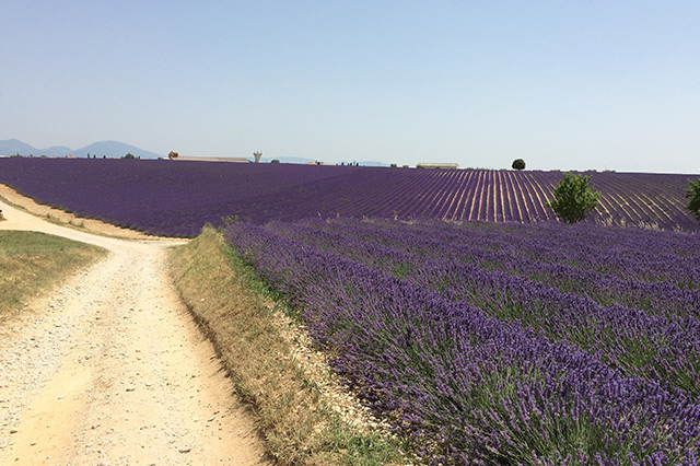 最新世界著名旅游景点排名,世界著名100个旅游景点旅游攻略