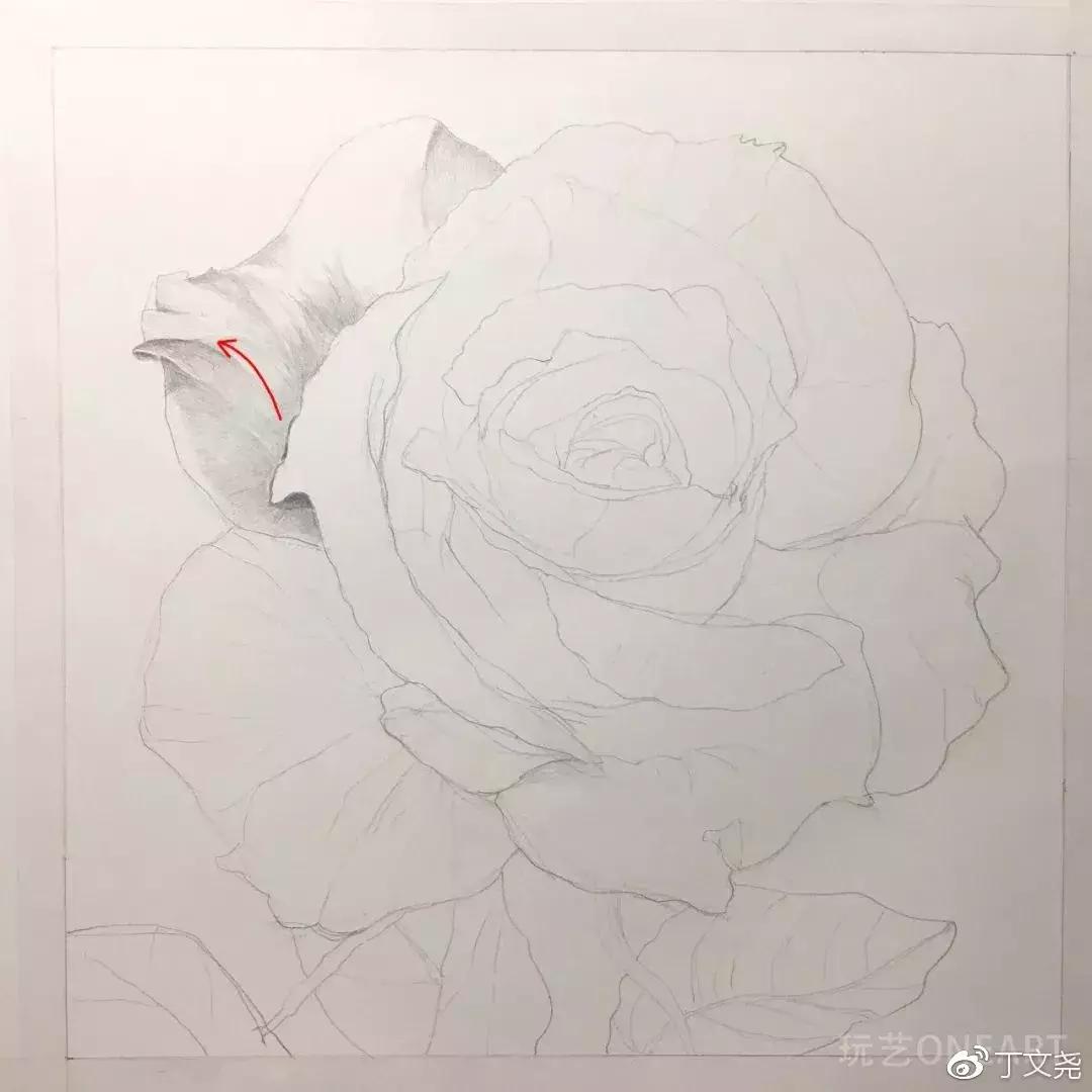 素描教程简单8-12岁玫瑰花,玫瑰素描怎么画