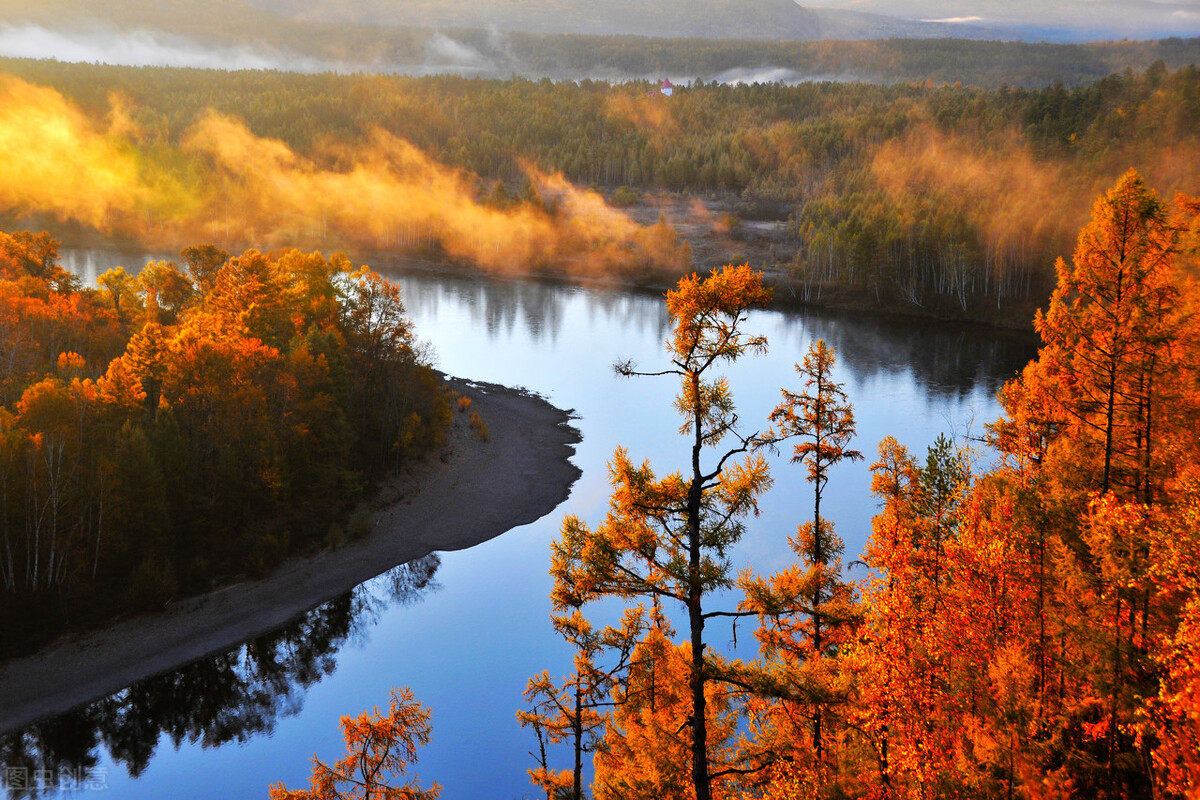 臭水河里有鱼吗,臭水河的水为什么是黑的