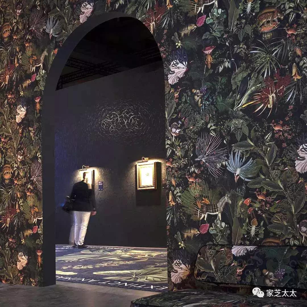 壁纸选购,壁纸种类推荐