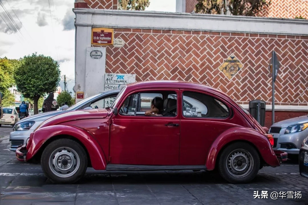 在这里你可以看到绚烂多彩的甲壳虫,因为他们是这里的精灵