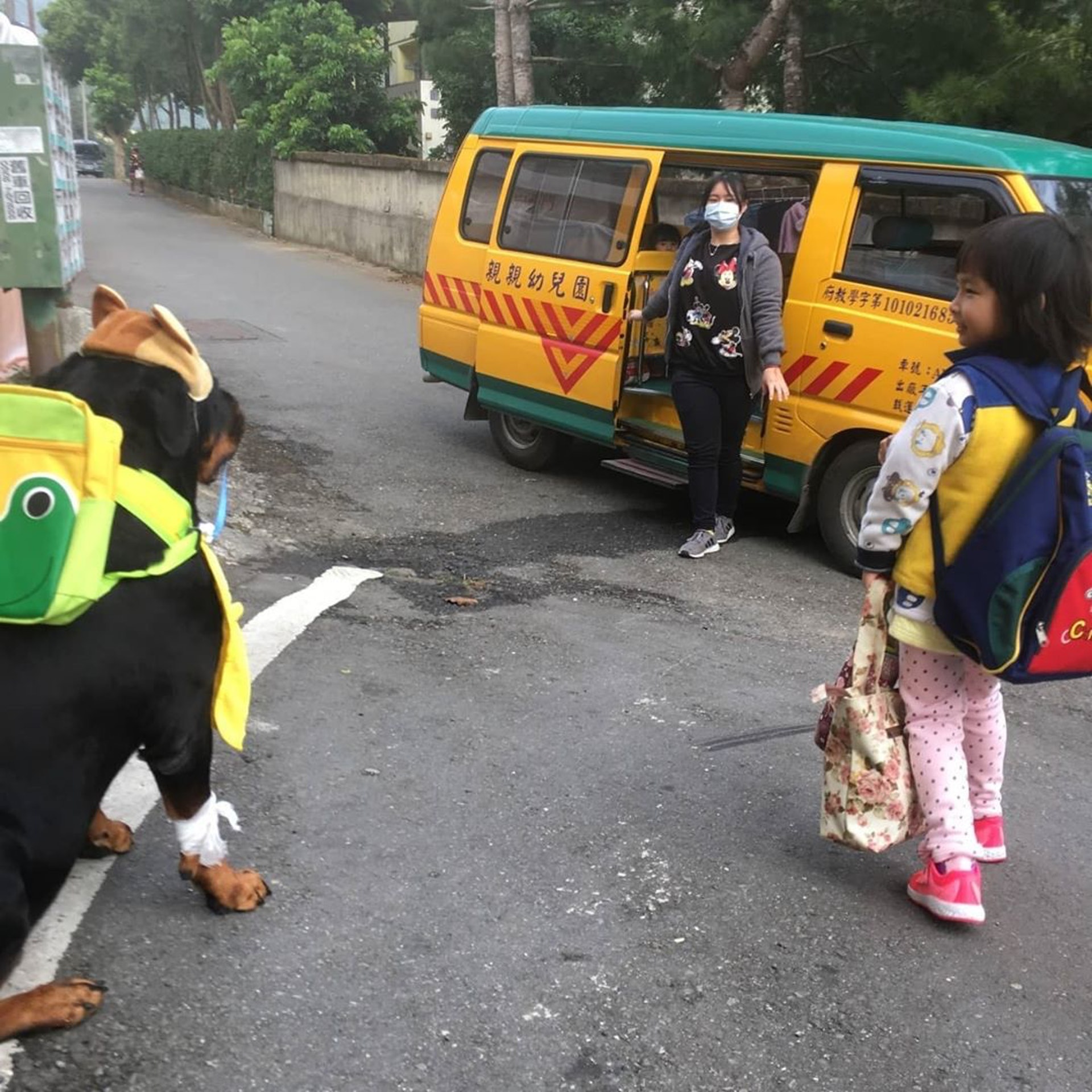 罗威纳成为奶奶的拐杖,120斤罗威纳犬视频