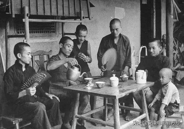 安康紫阳富硒毛尖,紫阳毛尖特别香