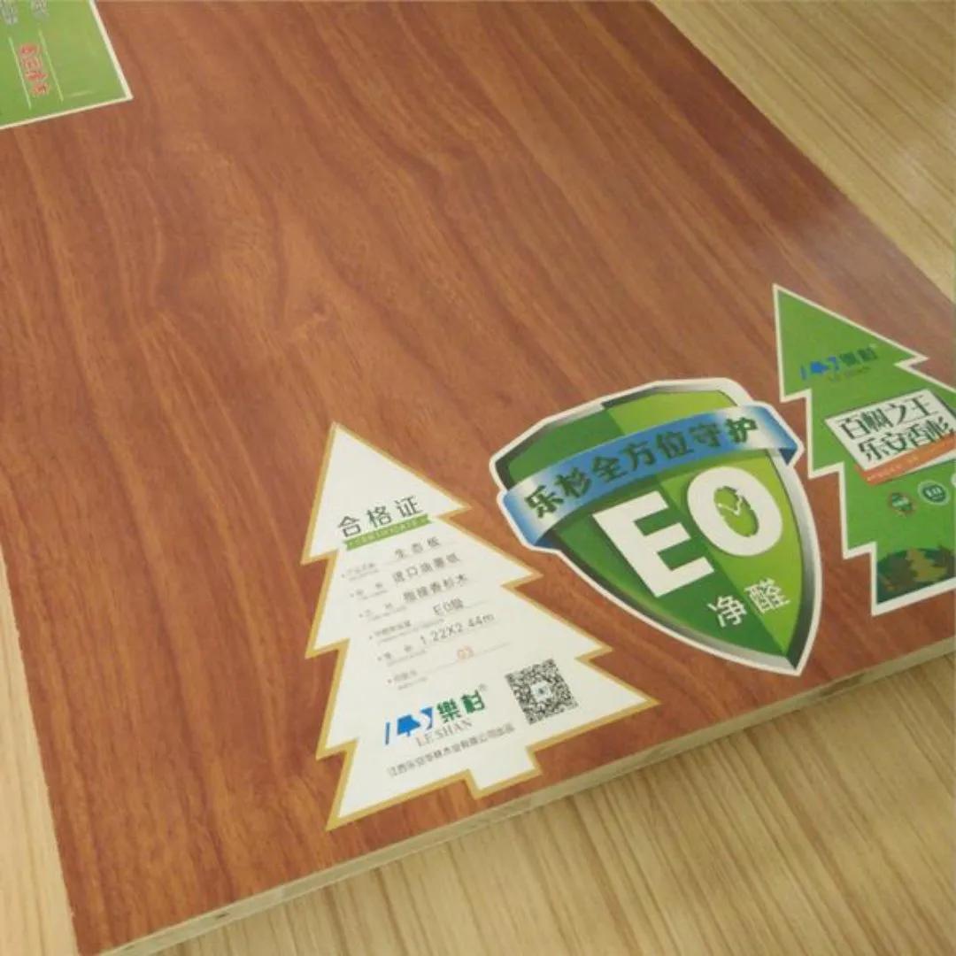 新房放一些植物可以去甲醛吗,新房甲醛克星植物