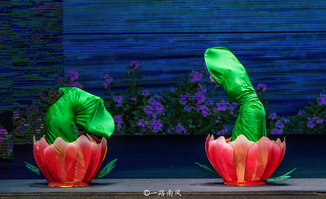 春节去丽江哪里拍照最好玩,春节旅行云南丽江