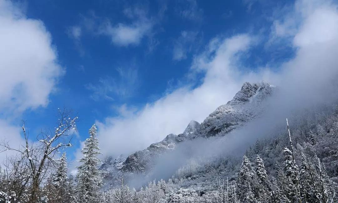春节游玩打卡攻略,新年旅游攻略全国