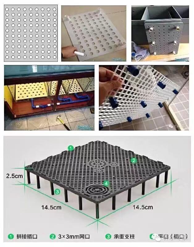 养鱼张哥最新视频,鱼缸怎么养锦鲤鱼最好