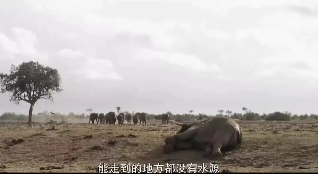 年度最佳女主角范冰冰,颜值与演技力压范冰冰