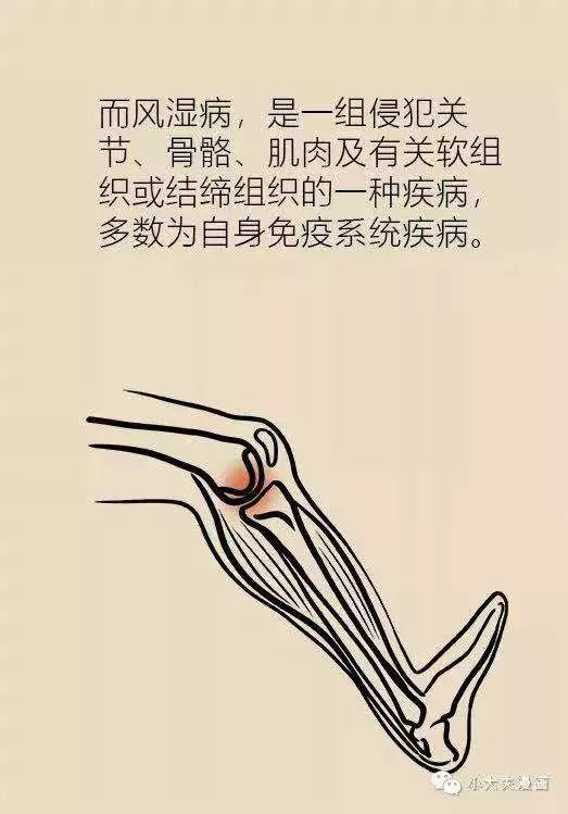 十大漫画知识类公众号推荐,有什么漫画微信公众号推荐