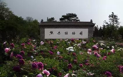 营口最值得玩的景点,营口必游景点大全介绍