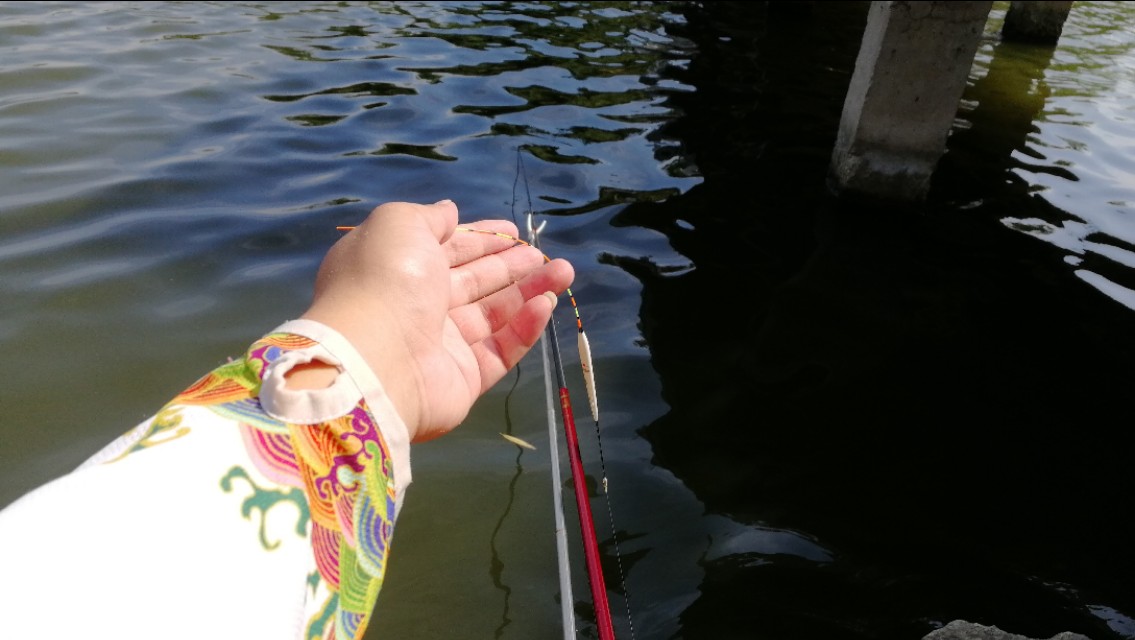 如何正确半水调漂,新手什么是半水调漂不带钩