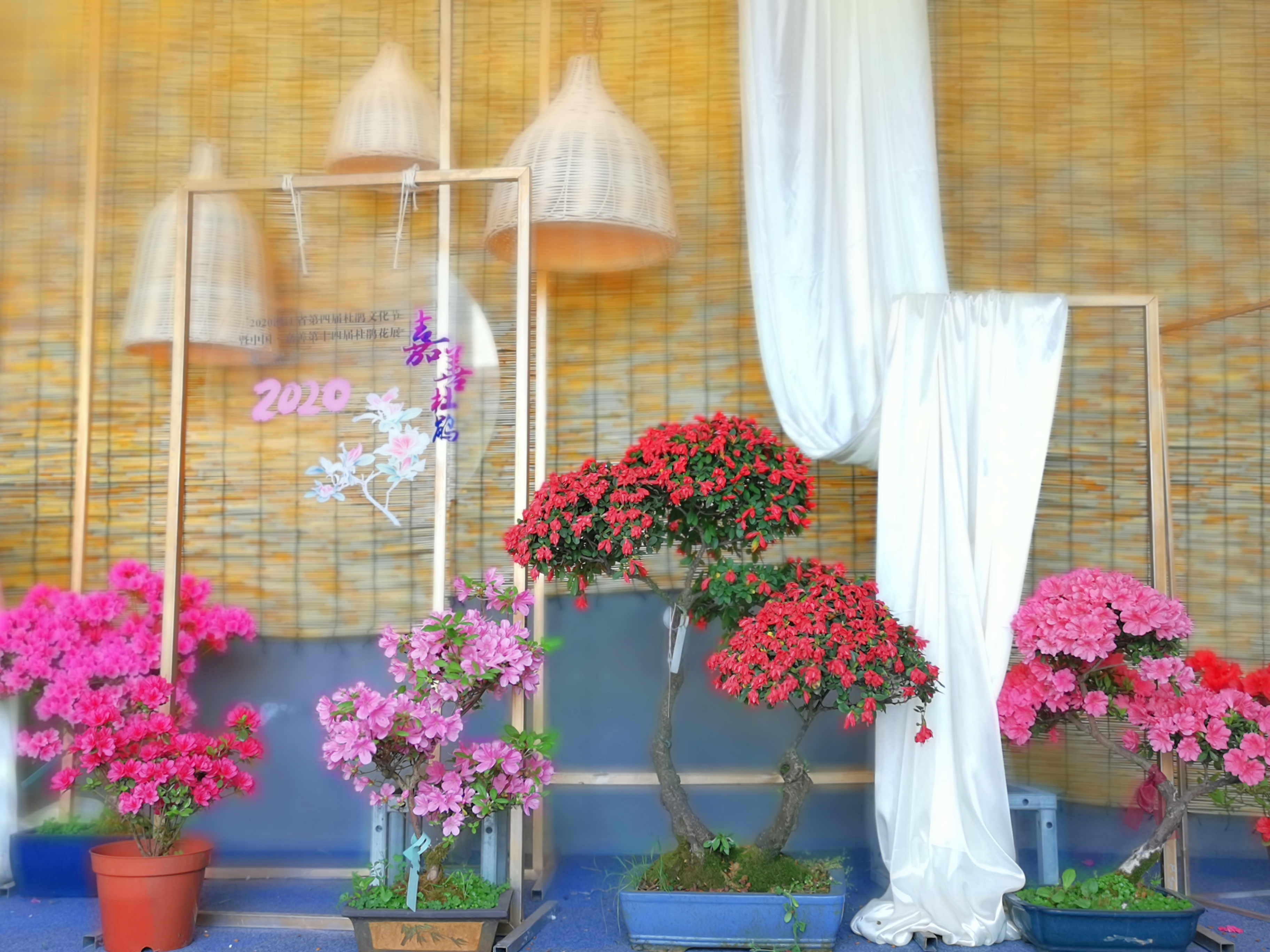 猩红热是皮肤病吗,猩红热样皮炎会传染吗