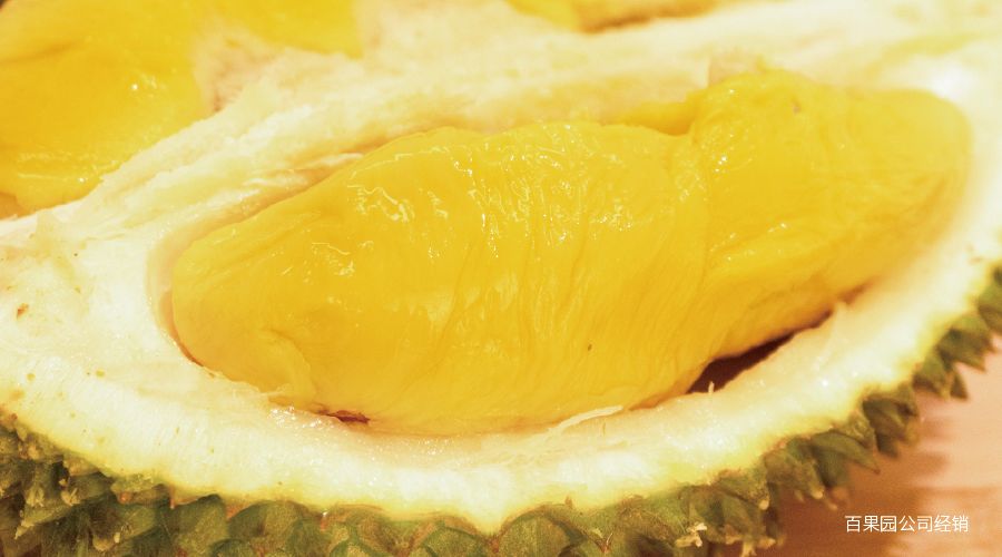 猫山王榴莲上市了吗,猫山王榴莲几月份成熟上市