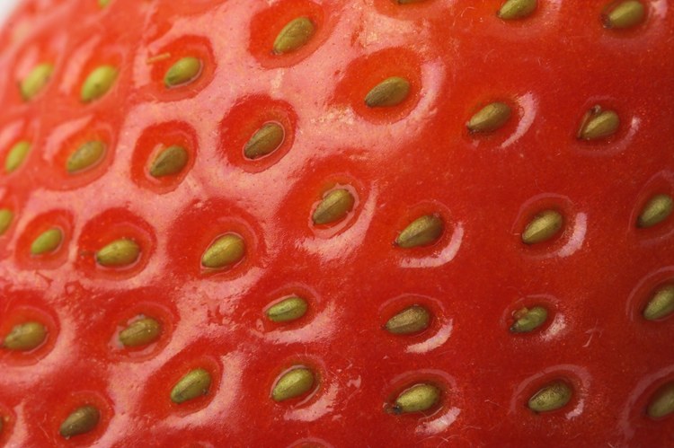 鼻子上黑头越挤越多怎么办,鼻子上黑头越来越多怎么能除去啊