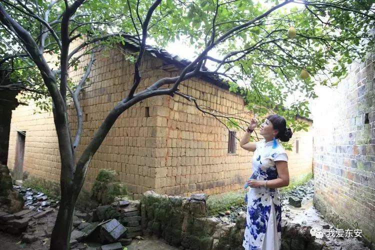 永州东安横塘周家大院,东安横塘周家大院