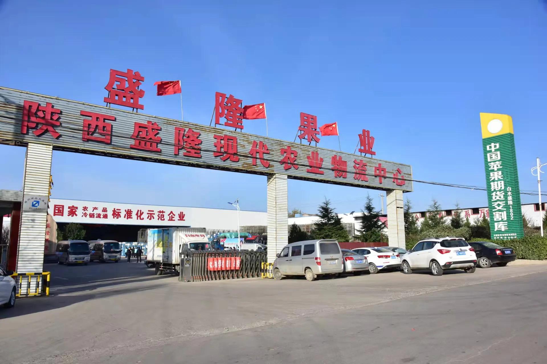 陕西白水苹果哪里最好,陕西白水苹果专卖店