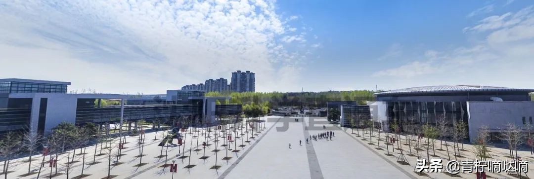 沈阳育才本部怎么样,沈阳育才学校