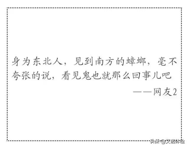 一只它=40多种细菌！你家也藏了有，衣服食物千万别沾上