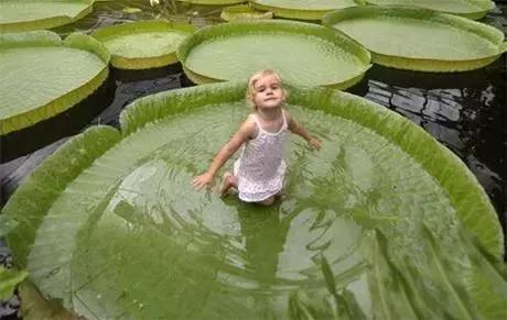 80张惊艳美图,80张风景图片大全