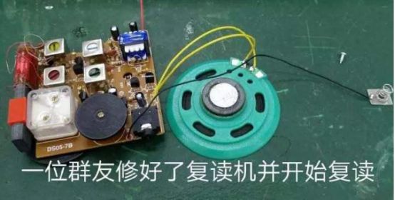 重生萝莉岛还是冲绳奴隶岛？让你看看二次元里让人误解的名字！