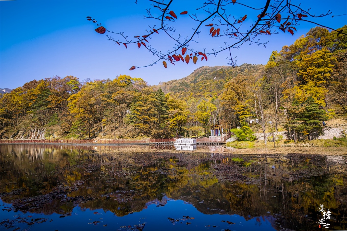 河南洛阳嵩县白云山都有哪些景观,河南洛阳嵩县的白云山风景名胜区