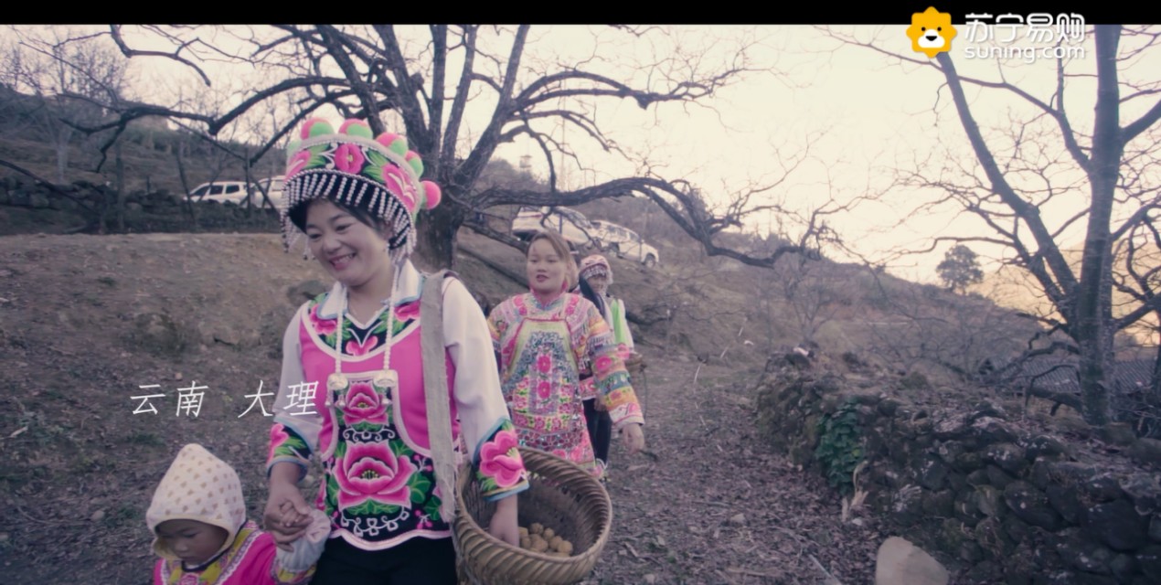 苏宁易购2019年货节最全攻略 (苏宁拼购2019年货)