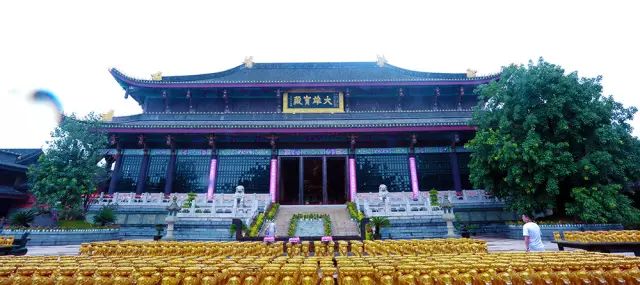 全国十大名茶旅游地,中国十大茶旅